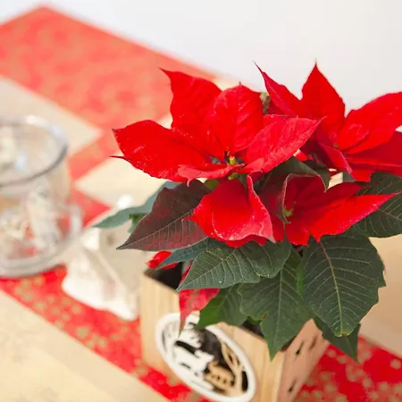 Moderne Nach Sanierung * Alsdorf