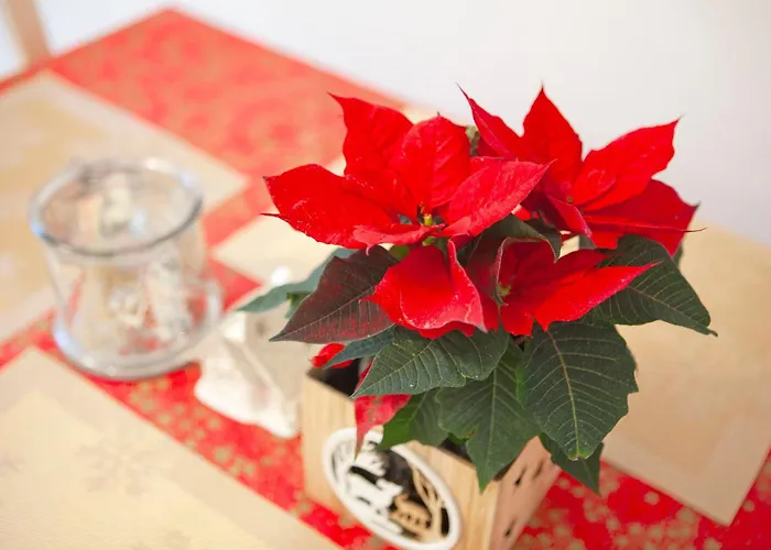 Moderne Nach Sanierung * Alsdorf